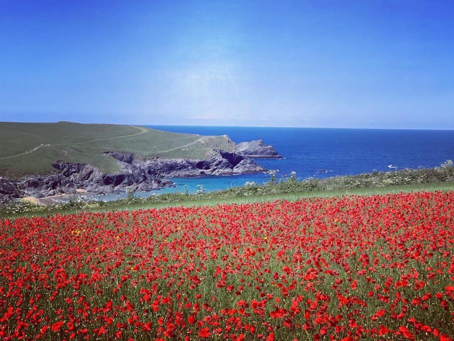 An Entire Fabulous Holiday Home - It'S All Yours! St Columb Major Екстериор снимка